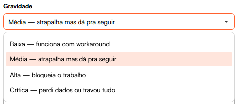 Janela de feedback do MAPA para Revit com a escolha de gravidade do bug